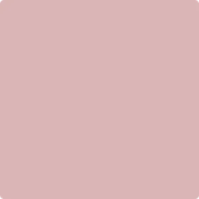 1255: Pink Panther  by Benjamin Moore