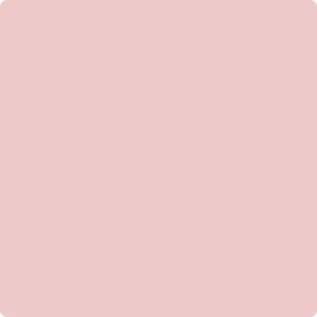 1276: Petunia Pink  by Benjamin Moore