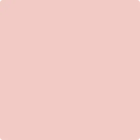 1290: Fantasy Pink  by Benjamin Moore