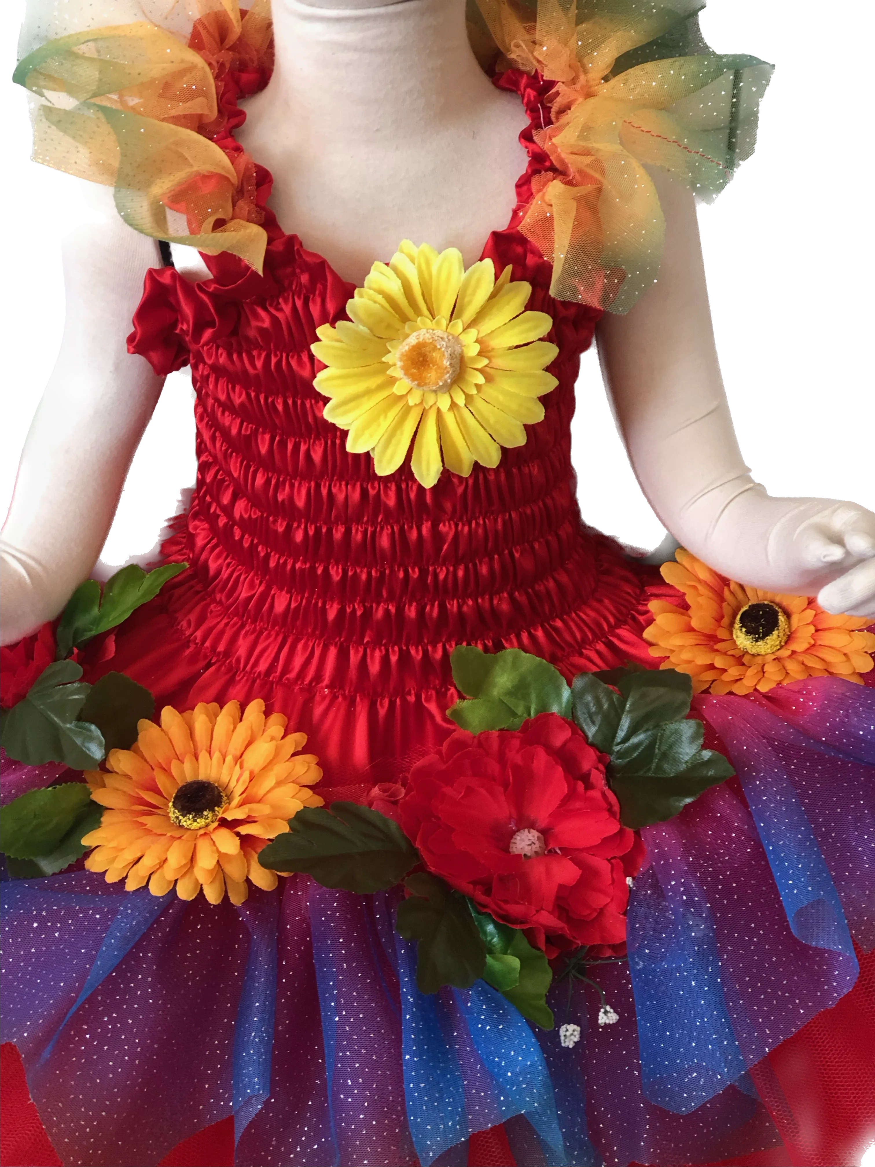 Star Bright Fairy Dress